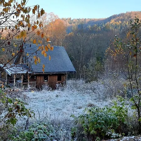 Lodge Domalek Pod Zlotym Kogutem *