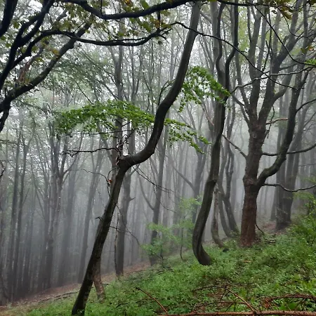 Jaktstuga Domalek Pod Zlotym Kogutem
