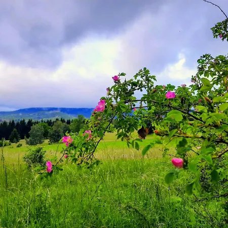 Jaktstuga Domalek Pod Zlotym Kogutem