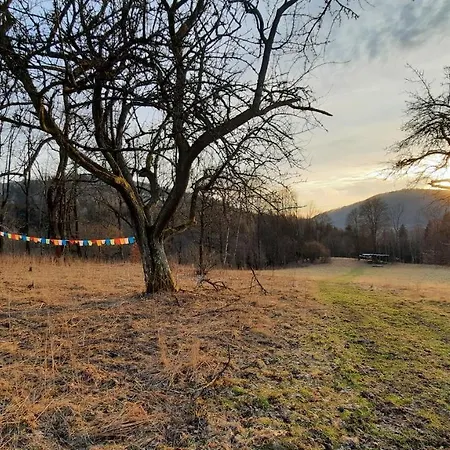 Domalek Pod Zlotym Kogutem Jaktstuga Kudowa-Zdrój