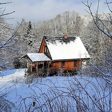 Domalek Pod Zlotym Kogutem Lodge *