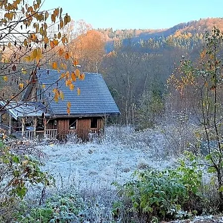 Domalek Pod Zlotym Kogutem Lodge *