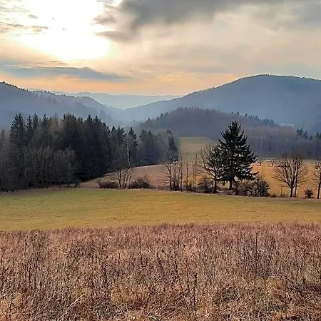 Domalek Pod Zlotym Kogutem