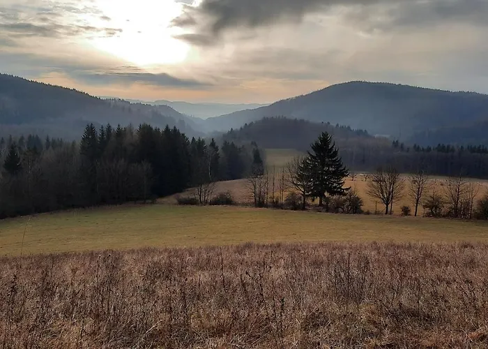 Domalek Pod Zlotym Kogutem