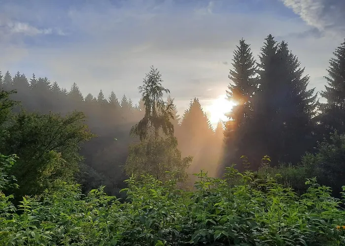 Деревянный коттедж Domalek Pod Zlotym Kogutem