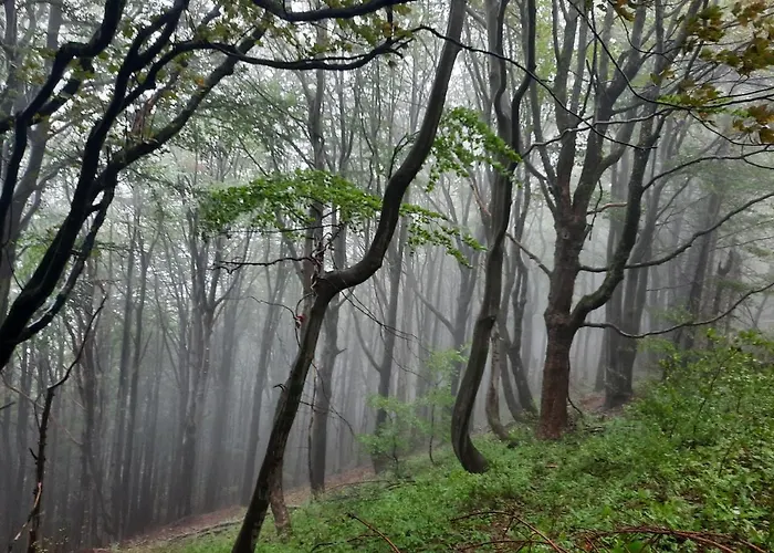 Деревянный коттедж Domalek Pod Zlotym Kogutem