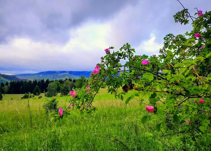 بيت خشبي Domalek Pod Zlotym Kogutem