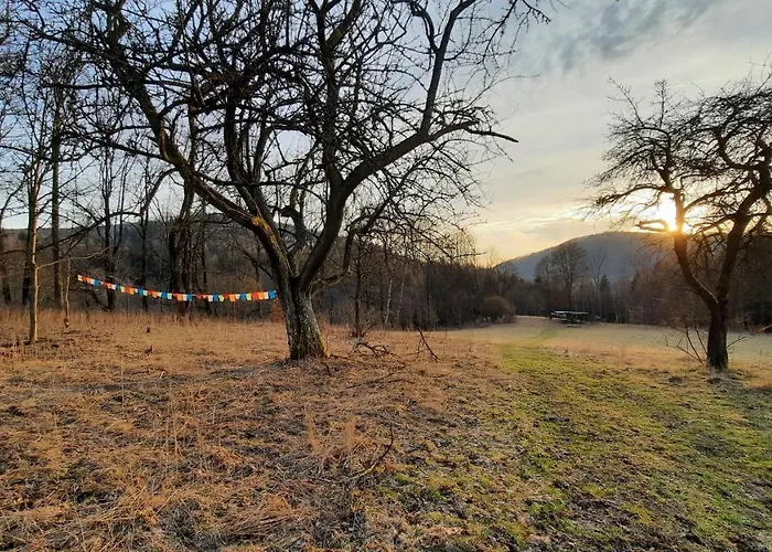 Domalek Pod Zlotym Kogutem Lodge Kudowa-Zdrój