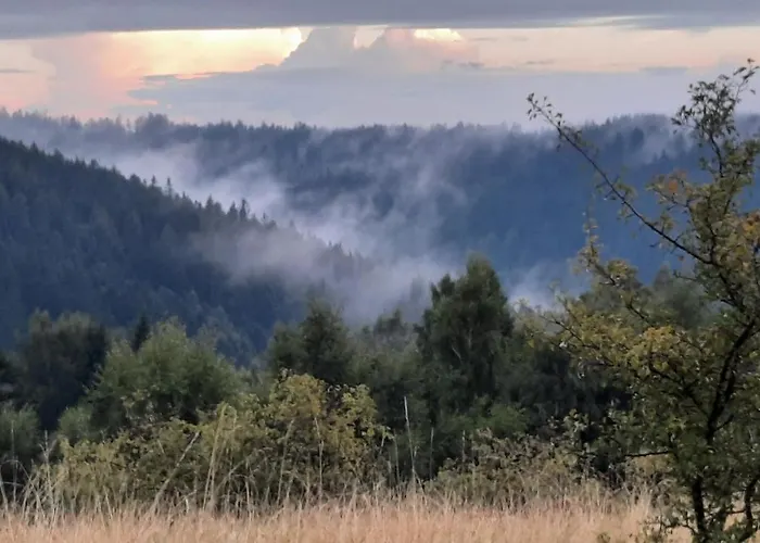 Domalek Pod Zlotym Kogutem Lodge Kudowa-Zdrój